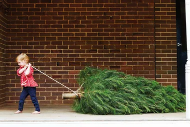 When should you take down your Christmas tree?