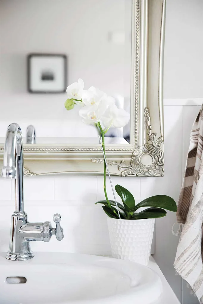 Country classic: a low cost bathroom renovation | Home Beautiful Magazine Australia