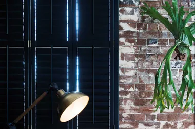 11 amazing photos of your next plant purchase