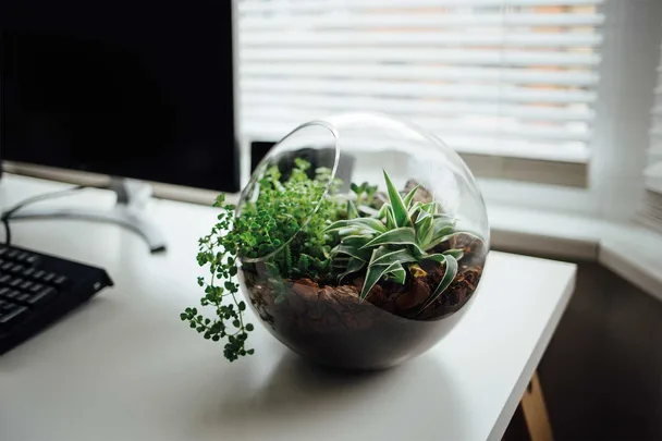 5 garden supply items for under $10 that will change your life | Home Beautiful Magazine Australia
