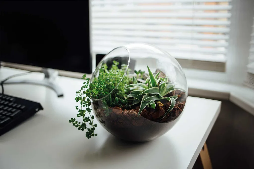 5 garden supply items for under $10 that will change your life | Home Beautiful Magazine Australia