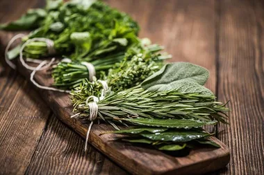 The simple mistake ruining your herbs