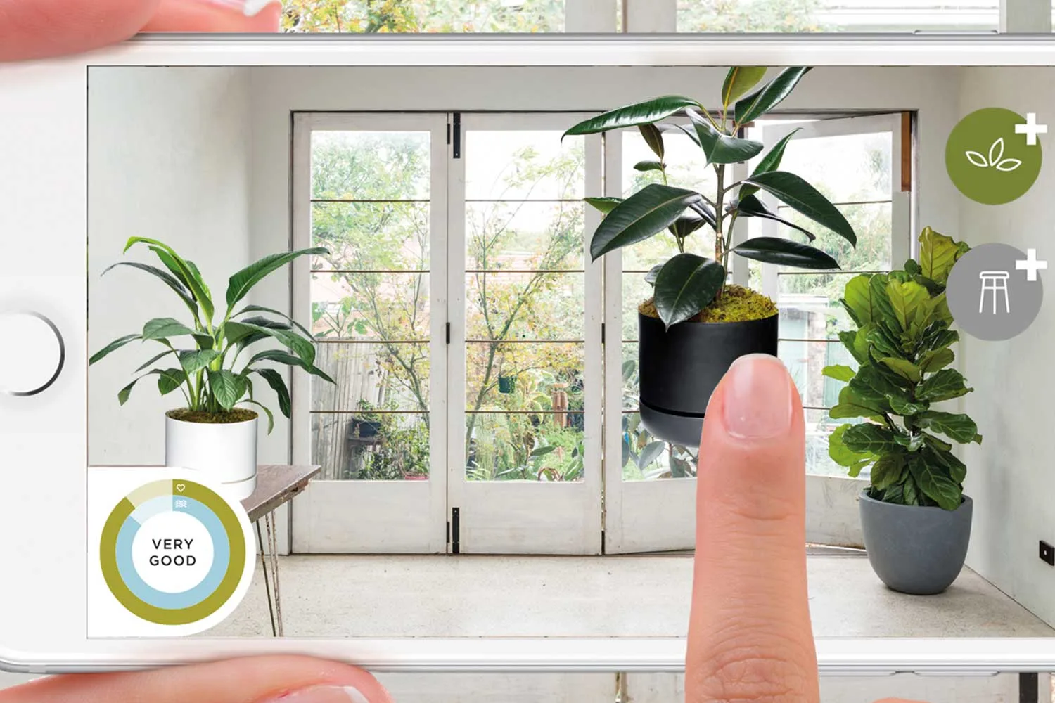 fake plants hanging Exo Terra Jungle Plants | Hanging Silk Plants | Pangea Reptile
