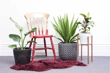 How to upcycle your op shop finds in a weekend
