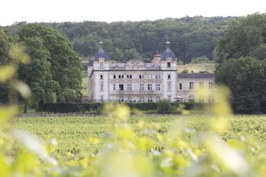 Ever dreamt of living in a French chateau?