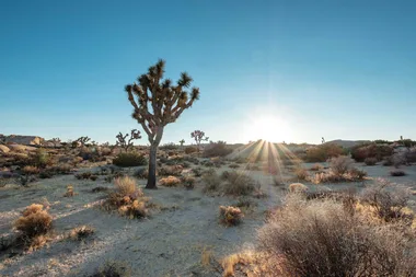 This renovated desert shack broke the internet