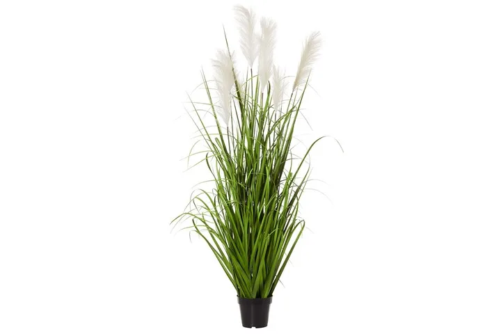 Pampas grass is the newest trending cut flower for your interior | Home Beautiful Magazine Australia