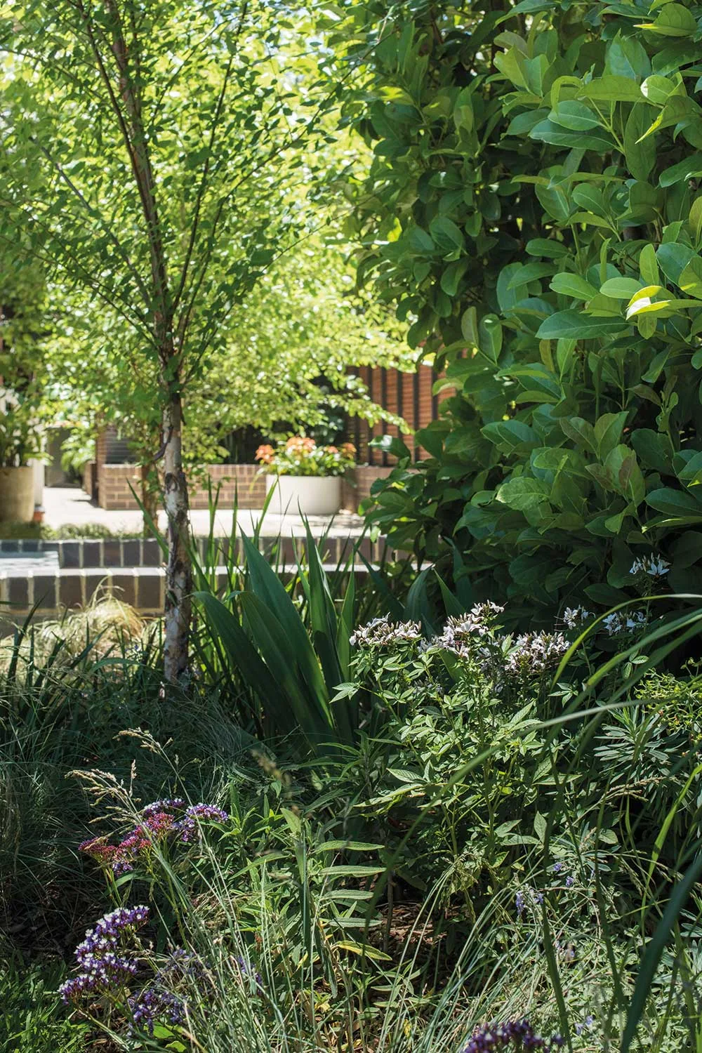 How to make your garden look expensive | Home Beautiful Magazine Australia