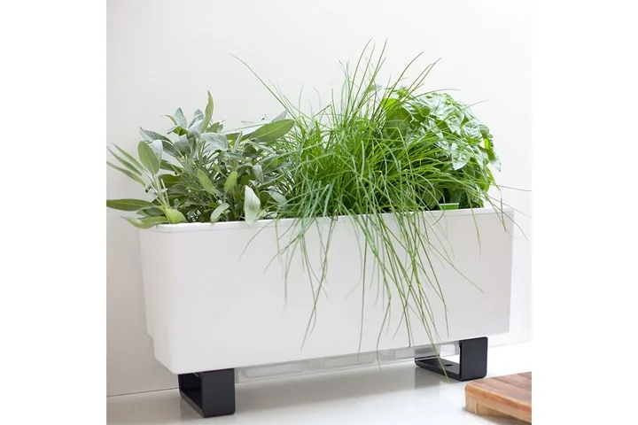 How to grow a windowsill herb garden | Home Beautiful Magazine Australia