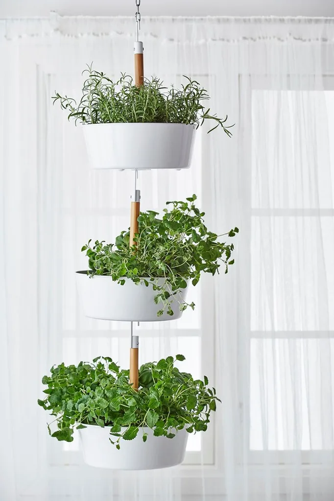 How to grow a windowsill herb garden | Home Beautiful Magazine Australia