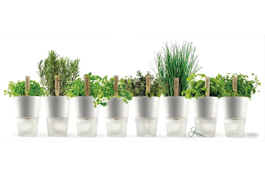 How to grow a windowsill herb garden | Home Beautiful Magazine Australia