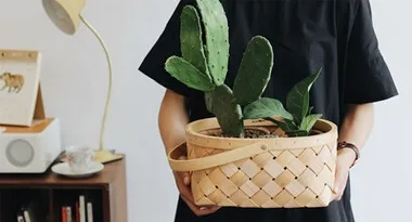 The trendiest plant of 2018