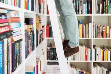 9 must-see homes with library ladders