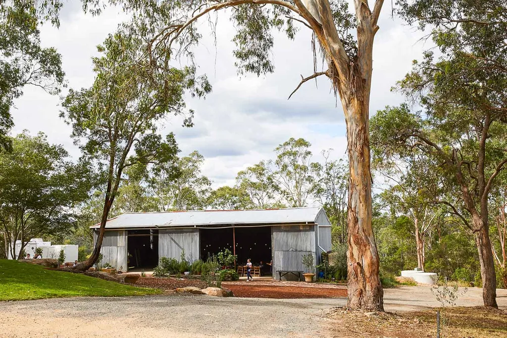 Cooks Co-op shed