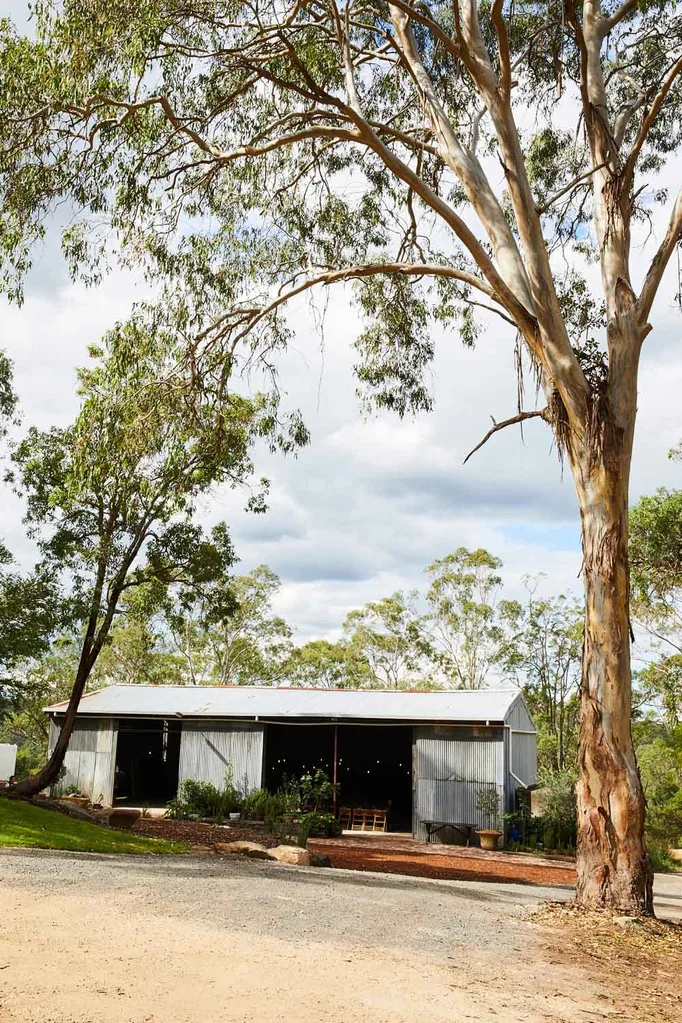 Cooks Co-op shed