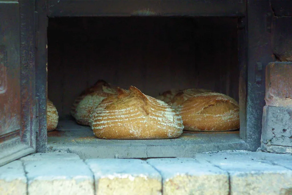 loaves of sourdough bread in an outdoor wood fired oven