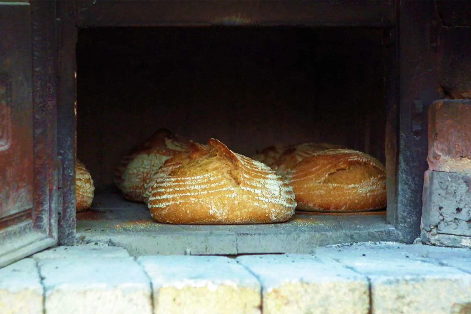 EP 7: The ultimate wood-fired sourdough recipe