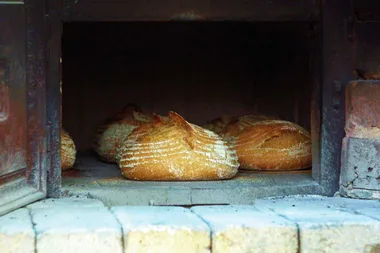 EP 7: The ultimate wood-fired sourdough recipe