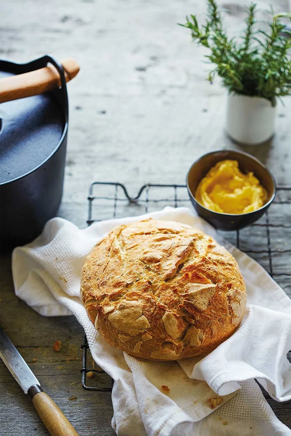 Dutch oven bread recipe