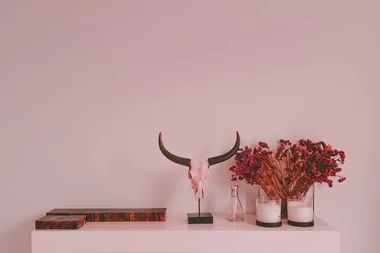 You’ll fall in love with the latest unexpected colour combo trend