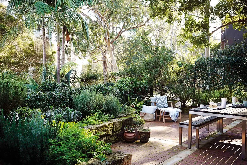Advice for beginner gardeners | Home Beautiful Magazine Australia