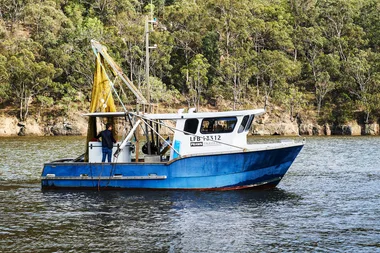 EP 17 (part 1): Why you will love Hawkesbury River school prawns