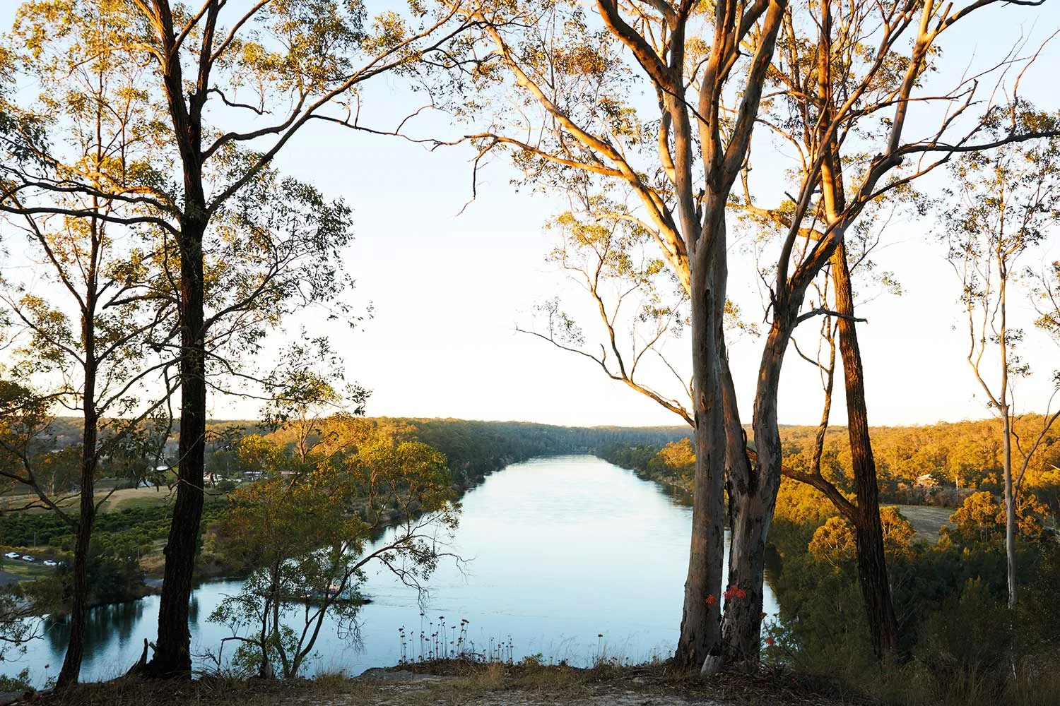 EP 20 (part 2): Wood-fired fish, fresh from the Hawkesbury River