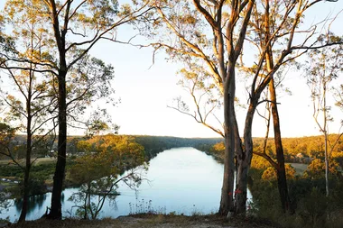 EP 20 (part 2): Wood-fired fish, fresh from the Hawkesbury River