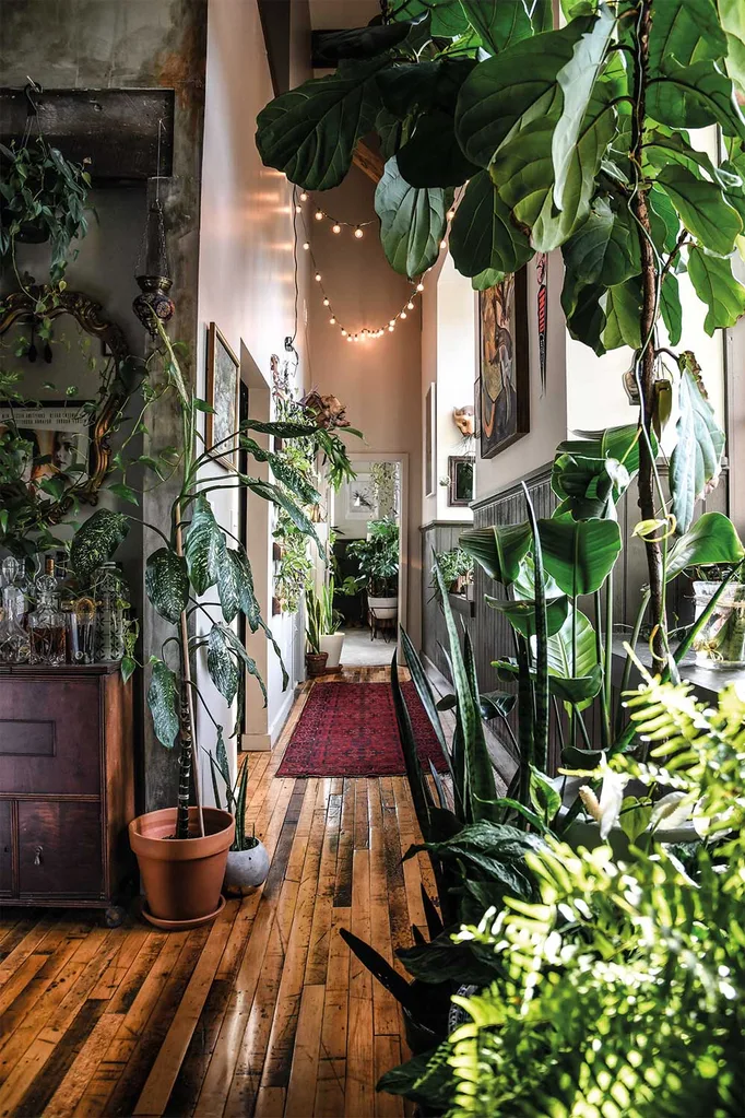 5 incredible rooms with plants | Home Beautiful Magazine Australia