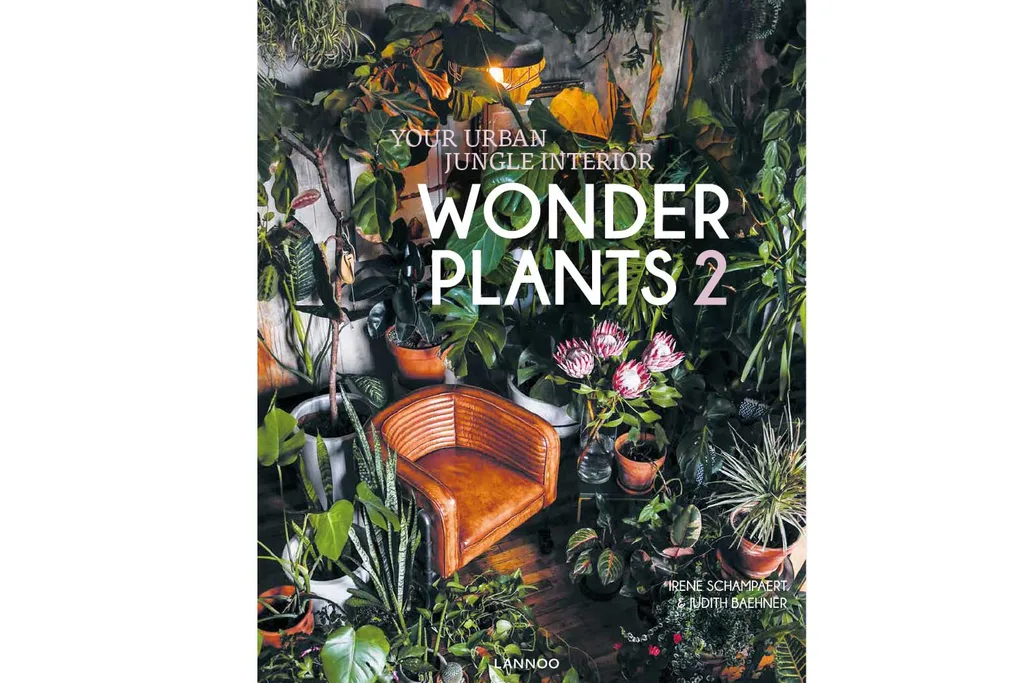 5 incredible rooms with plants | Home Beautiful Magazine Australia