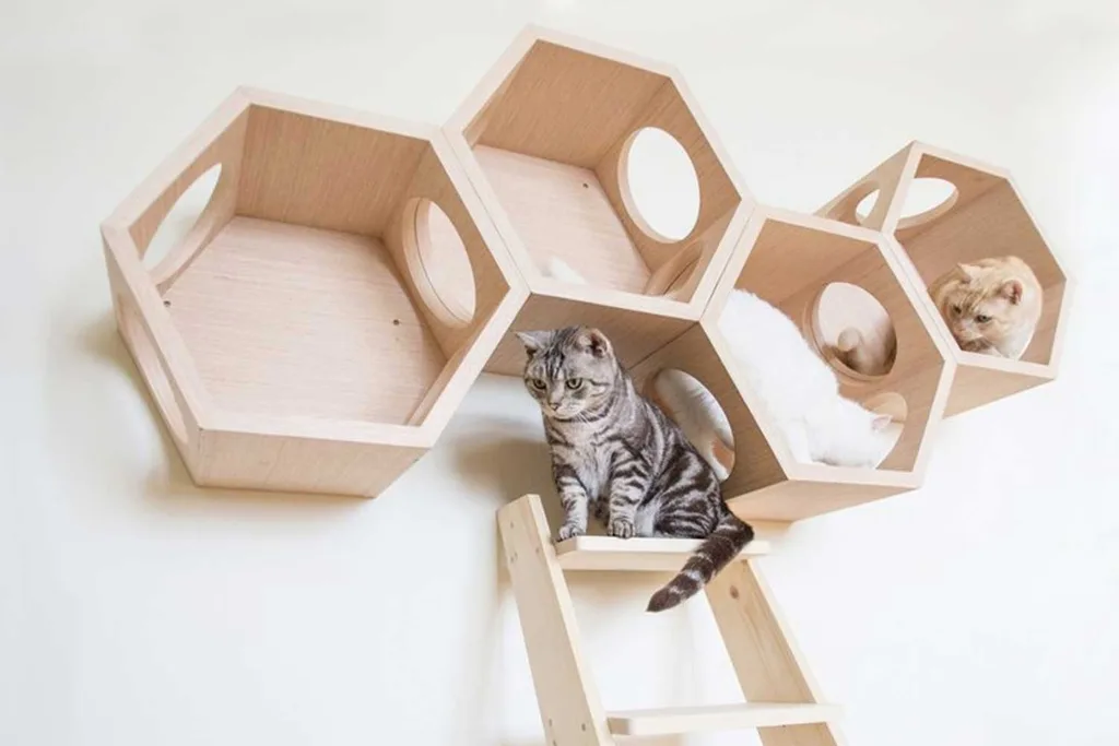 This space-age pet house will literally take your cats to the next level | Home Beautiful Magazine Australia