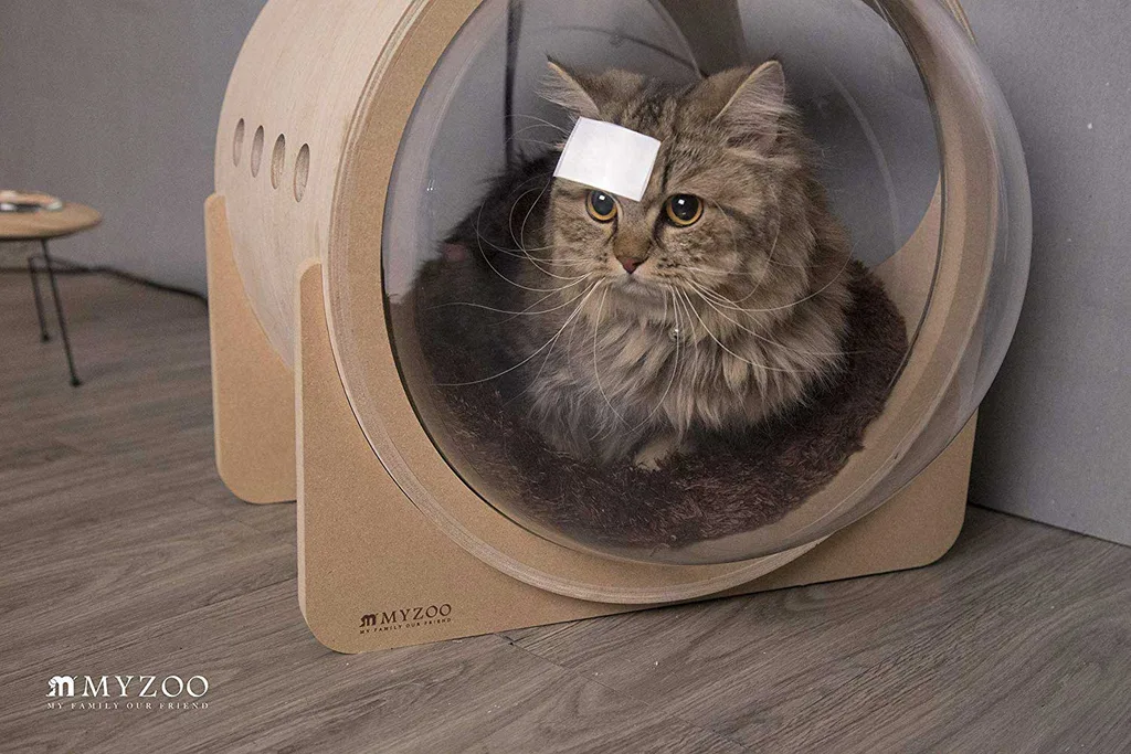 This space-age pet house will literally take your cats to the next level | Home Beautiful Magazine Australia