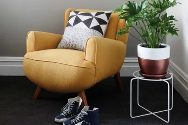 3 questions to ask yourself before becoming a plant parent