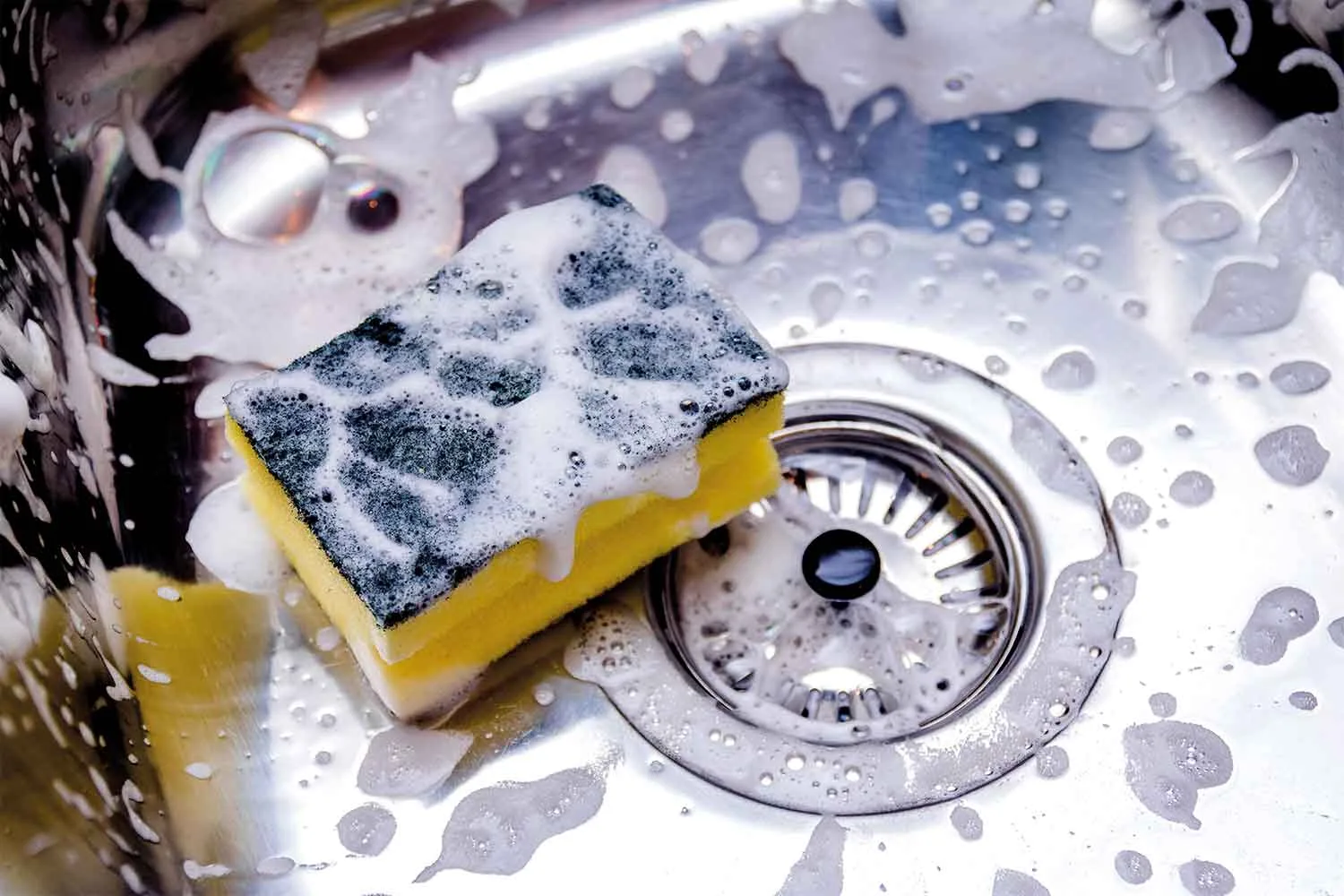 5 things you need to know about your kitchen sponge