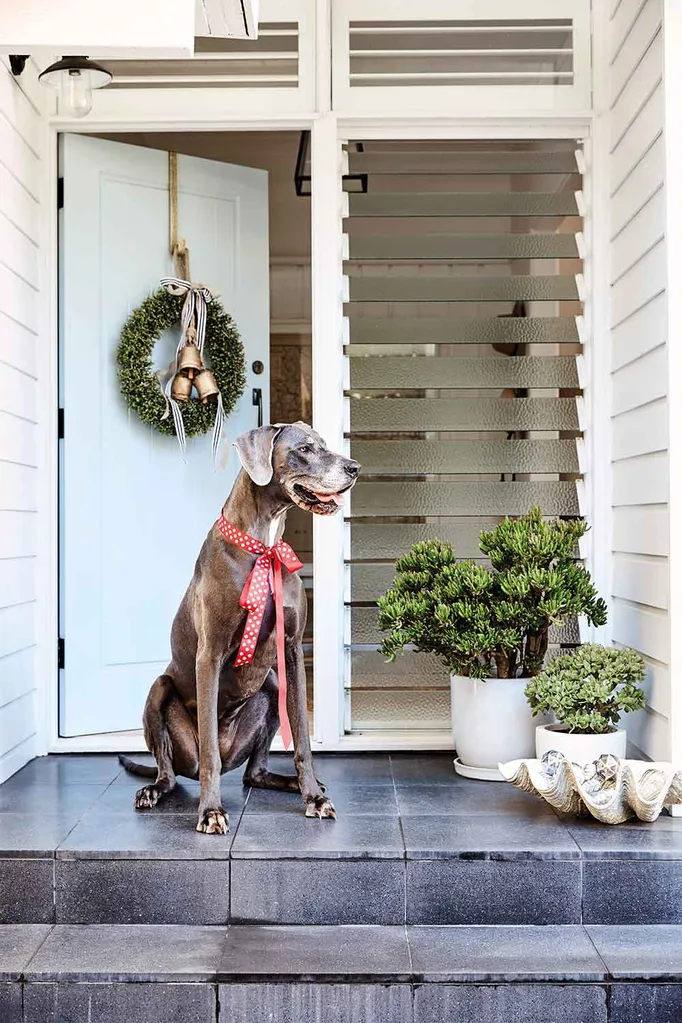 The home of Sally Rhys-Jones witha wreath on the front door and a great dane dog