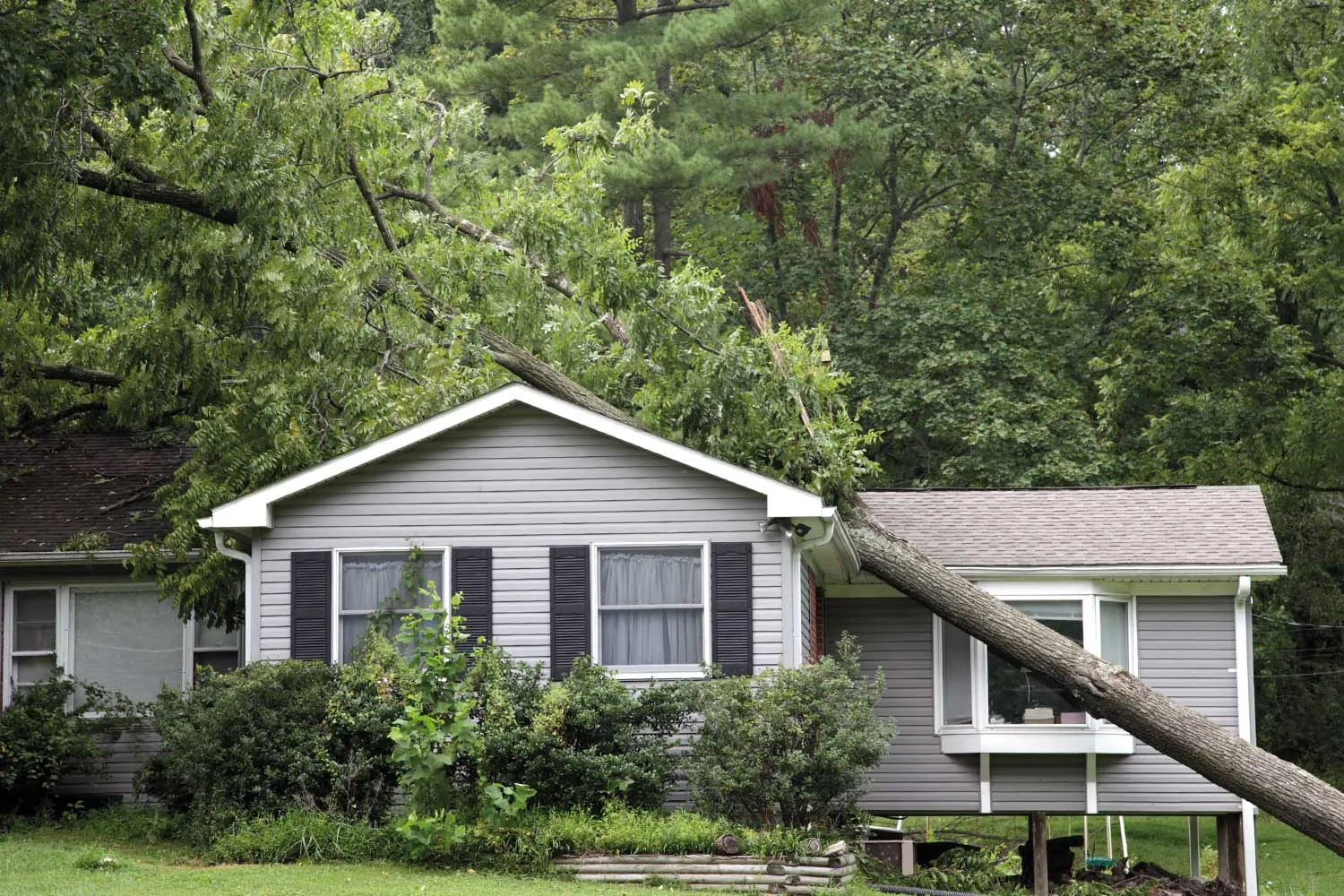 5 ways to protect your home from storm damage