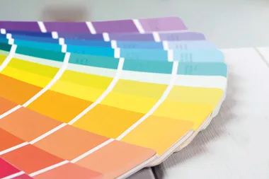 Pantone has released their Colour of the Year for 2019 and we’re in love