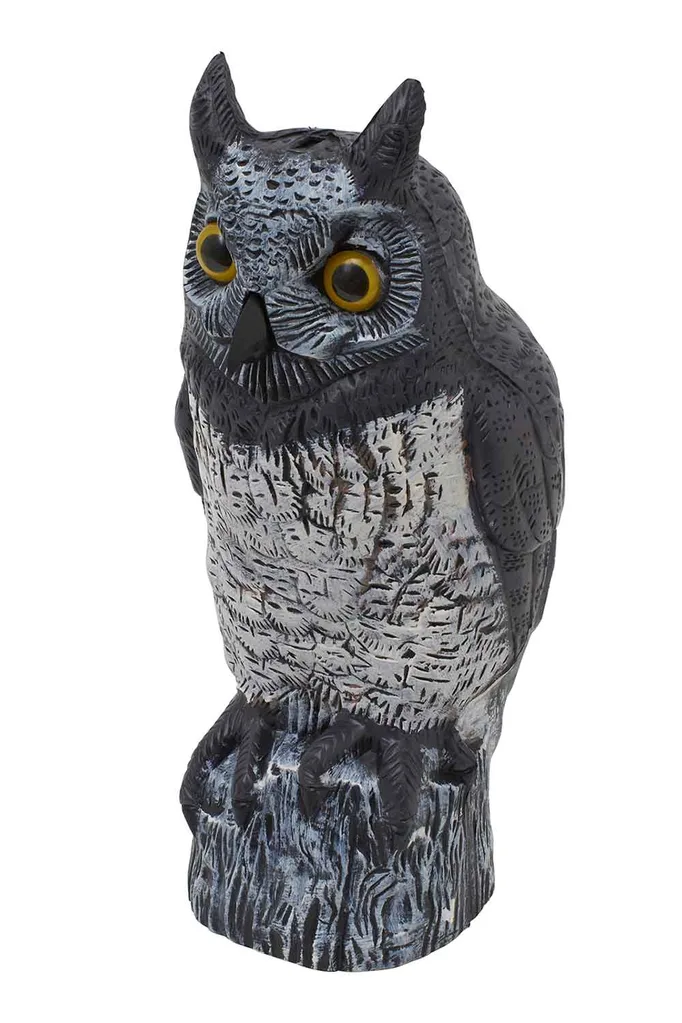 How to deter birds pooping on your deck