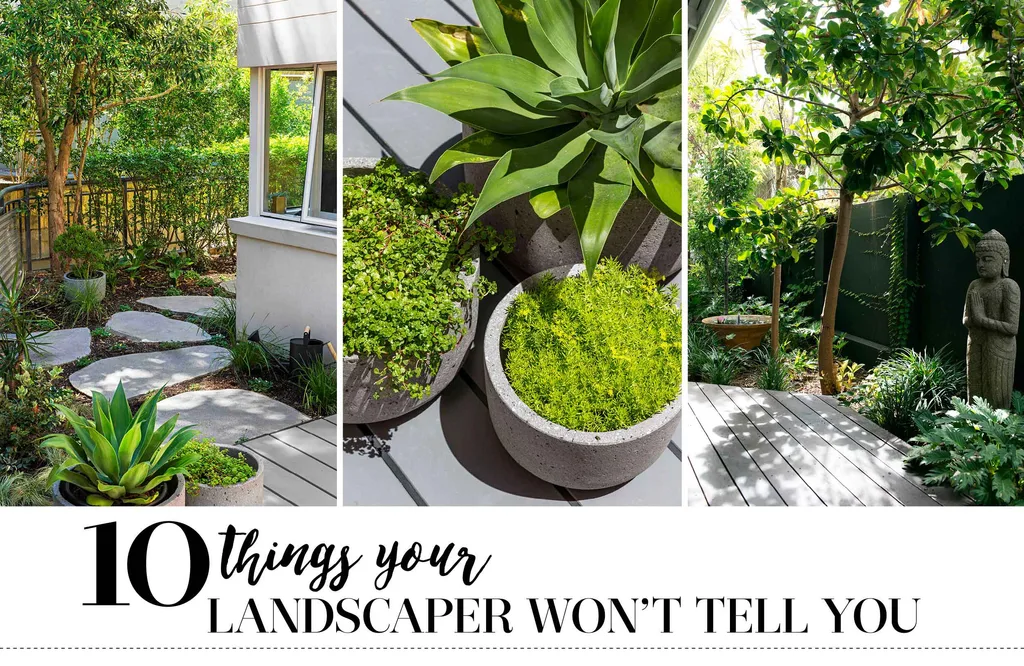10 things your landscaper wont tell you