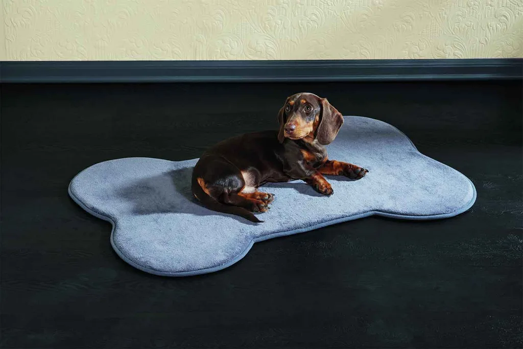 Pamper your pet with Aldi’s adorable new pet range