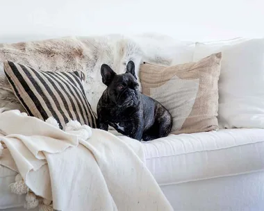 Kylie Gillies at home
