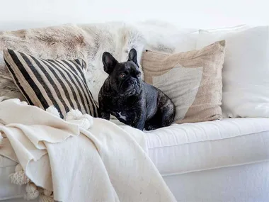 Kylie Gillies at home
