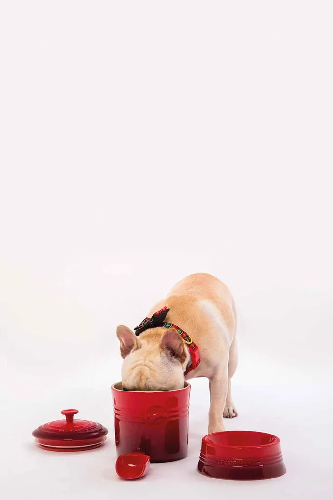 Le Creuset’s pet collection will make your designer dog’s day