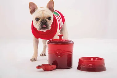 Le Creuset’s pet collection will make your designer dog’s day