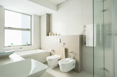 Royal Flush!  4 Modern Toilet Features Fit For A King & Queen