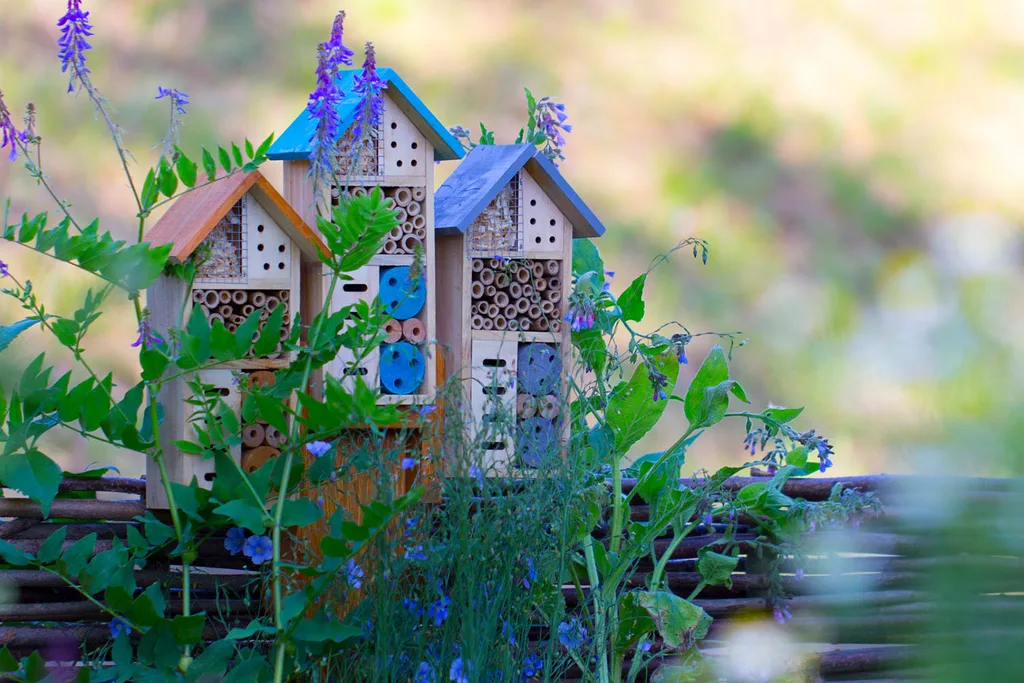 How to add colour to your garden