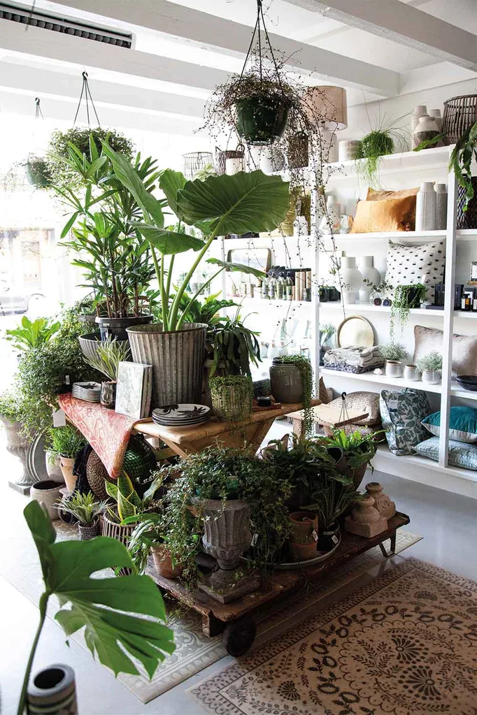 Tara Dennis has opened a second store and we want to move in!!