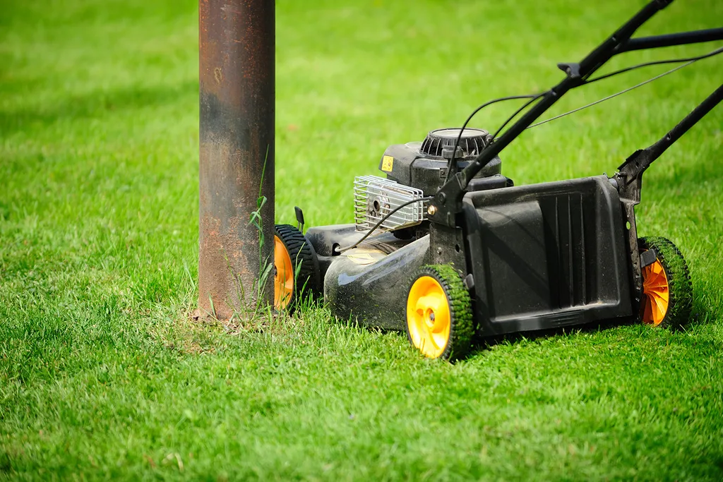 How to pick a type of grass for your location