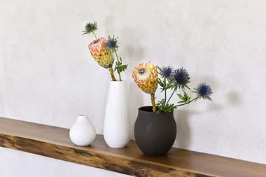 Villeroy & Boch releases stunning new Collier vase range