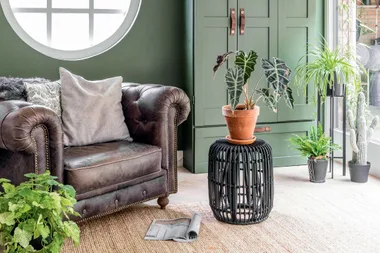 Our guide to creating an urban jungle inside your own home